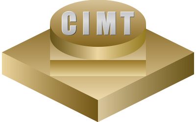 CIMT 2025